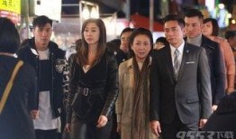 同盟第23集在线观看,揭秘暗流涌动的阴谋与背叛